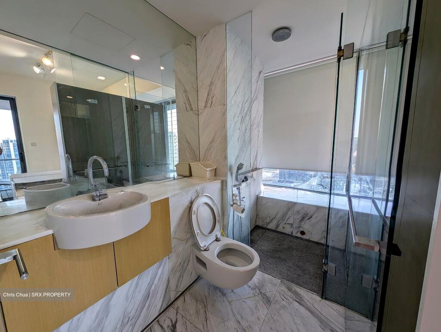 Newton Suites (D11), Apartment #576984491